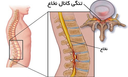 کلینیک ارتوپدی5